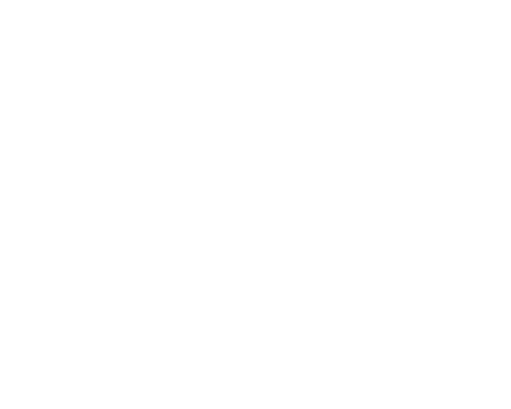 Vtdental