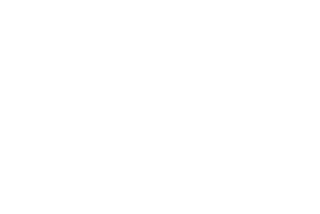 Vtdental